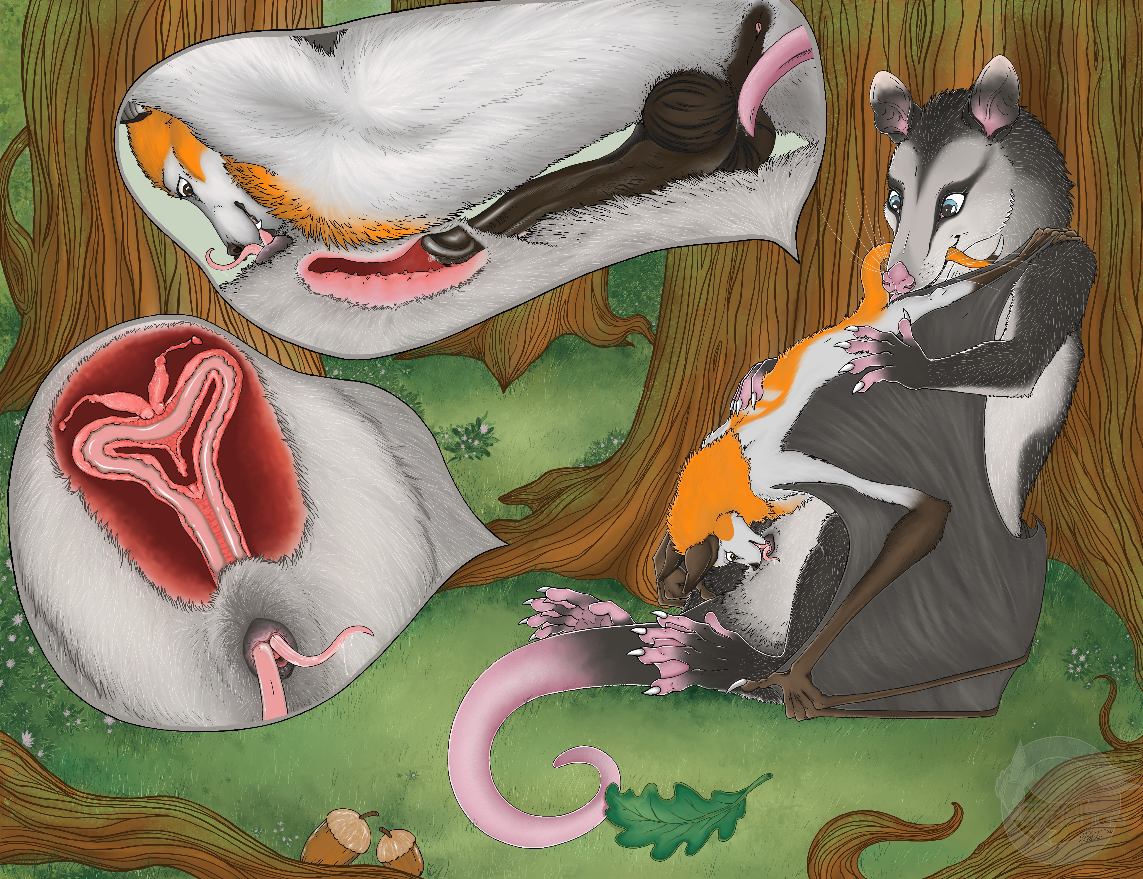 Content 