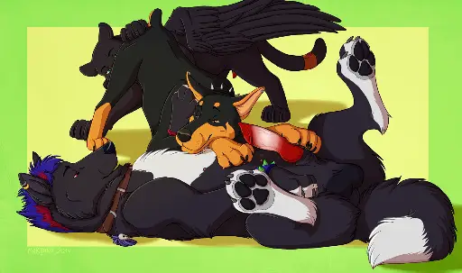 Post 8095006