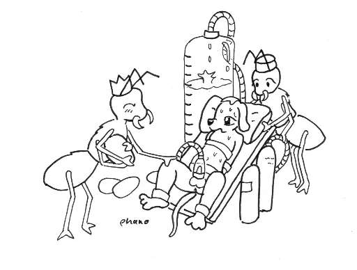 Post 11064807