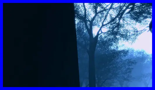 Post 11837486
